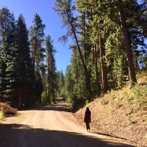 Meet your Posher, Caroline